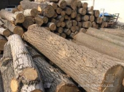 长海县大连木材加工